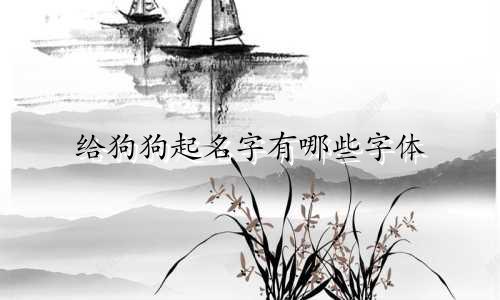 给狗狗起名字有哪些字体