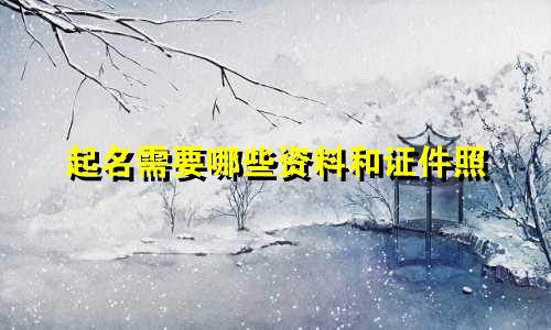 起名需要哪些资料和证件照