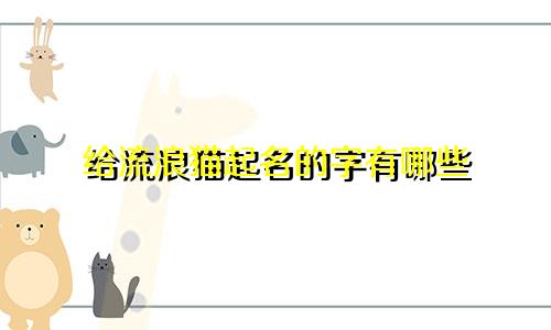 给流浪猫起名的字有哪些