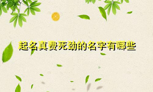 起名真费死劲的名字有哪些