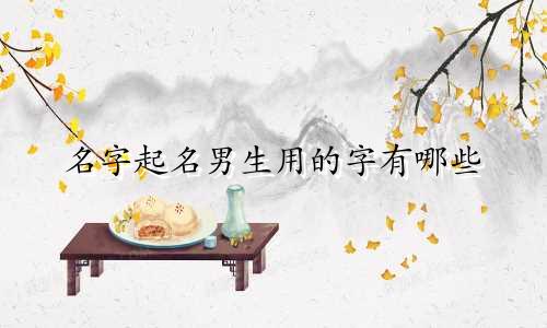 名字起名男生用的字有哪些