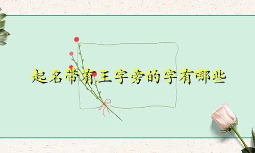 起名带有王字旁的字有哪些