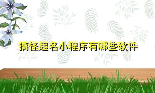 搞怪起名小程序有哪些软件