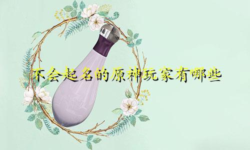 不会起名的原神玩家有哪些