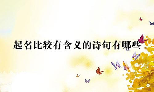 起名比较有含义的诗句有哪些