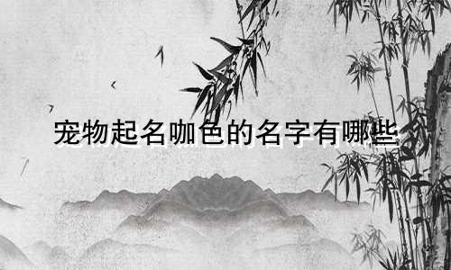 宠物起名咖色的名字有哪些