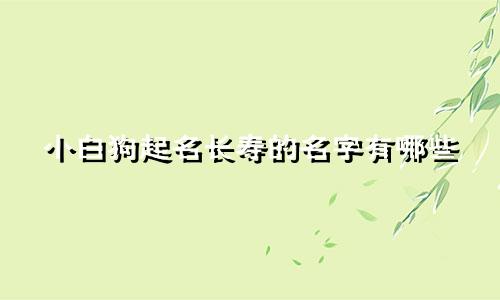 小白狗起名长寿的名字有哪些