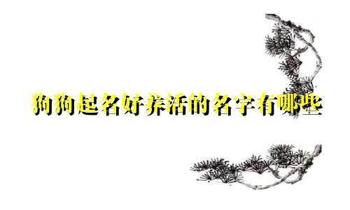 狗狗起名好养活的名字有哪些