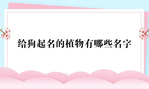给狗起名的植物有哪些名字