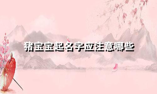 猪宝宝起名字应注意哪些