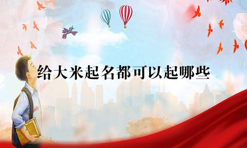 给大米起名都可以起哪些