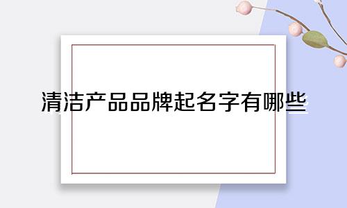 清洁产品品牌起名字有哪些