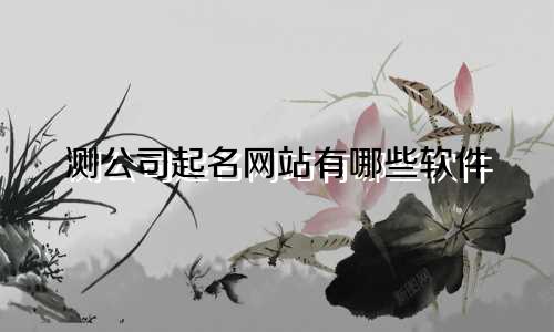 测公司起名网站有哪些软件