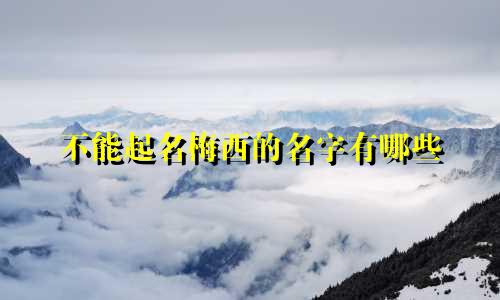 不能起名梅西的名字有哪些