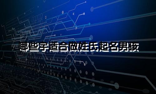 哪些字适合做姓氏起名男孩