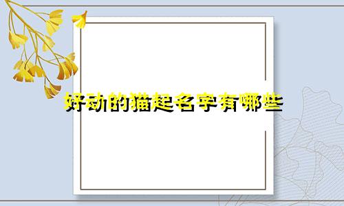 好动的猫起名字有哪些