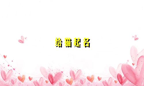 给猫起名 春天的名字有哪些