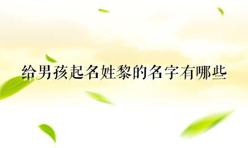 给男孩起名姓黎的名字有哪些