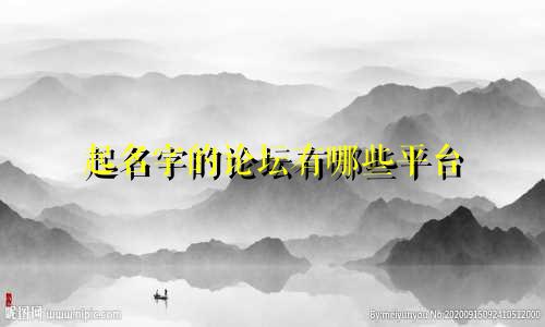 起名字的论坛有哪些平台