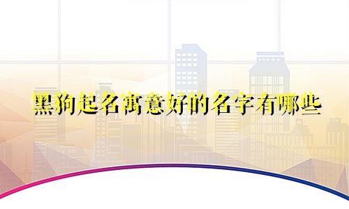 黑狗起名寓意好的名字有哪些