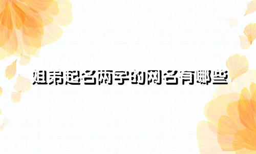 姐弟起名两字的网名有哪些