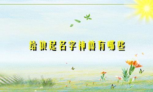 给狼起名字神兽有哪些
