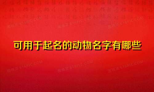 可用于起名的动物名字有哪些