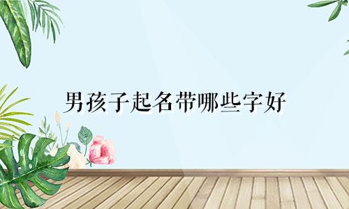 男孩子起名带哪些字好