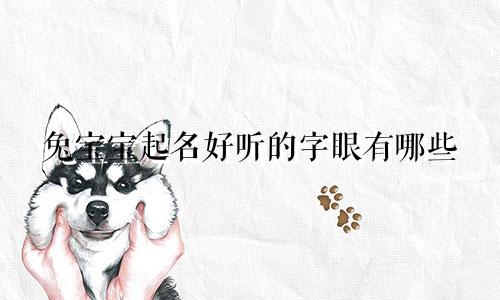 兔宝宝起名好听的字眼有哪些