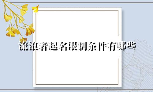 流浪者起名限制条件有哪些