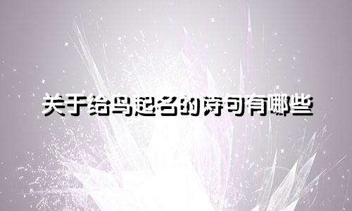 关于给鸟起名的诗句有哪些