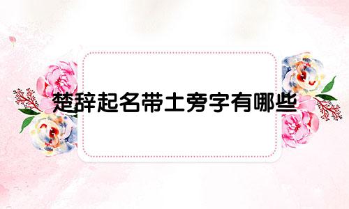 楚辞起名带土旁字有哪些