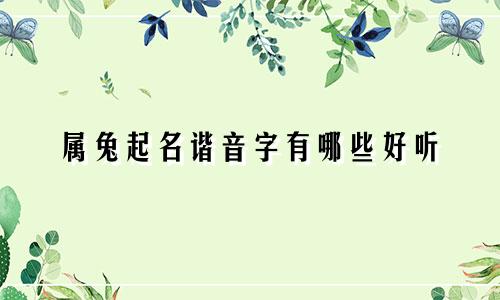 属兔起名谐音字有哪些好听