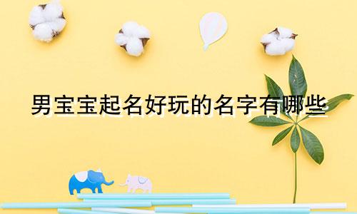 男宝宝起名好玩的名字有哪些