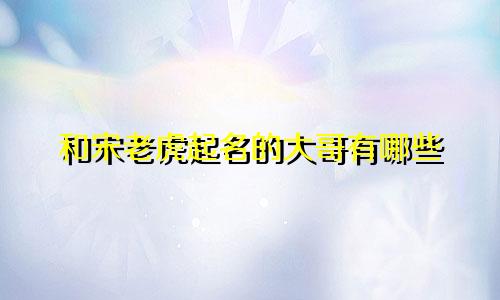 和宋老虎起名的大哥有哪些