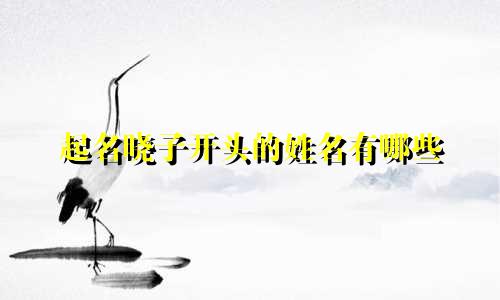 起名晓子开头的姓名有哪些