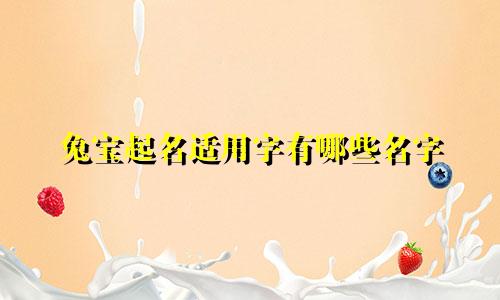 兔宝起名适用字有哪些名字