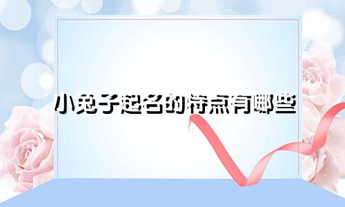 小兔子起名的特点有哪些