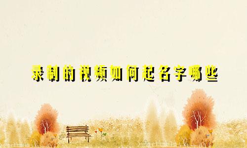 录制的视频如何起名字哪些