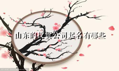 山东的投资公司起名有哪些