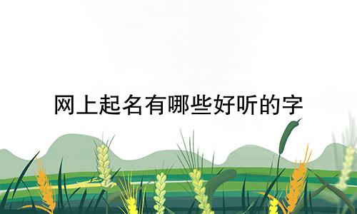 网上起名有哪些好听的字