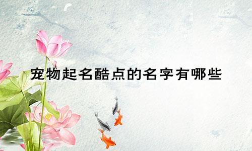 宠物起名酷点的名字有哪些