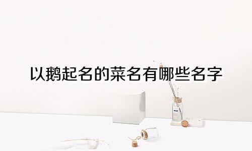 以鹅起名的菜名有哪些名字