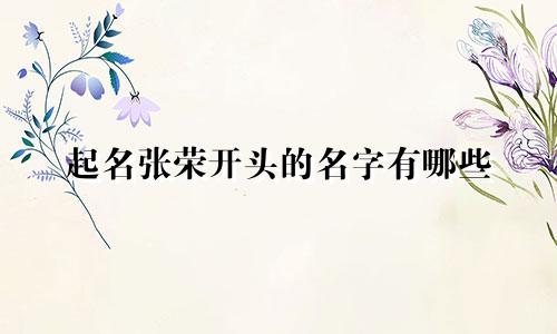 起名张荣开头的名字有哪些