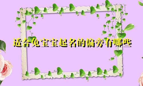 适合兔宝宝起名的偏旁有哪些