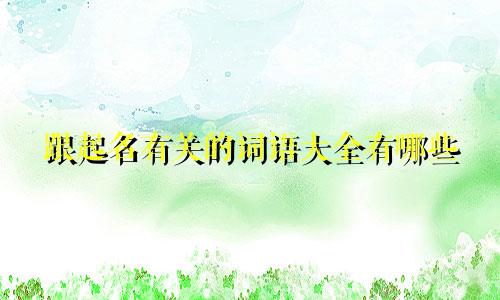 跟起名有关的词语大全有哪些