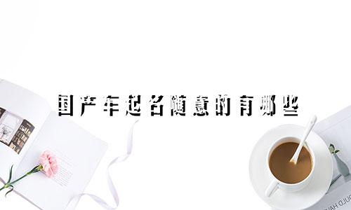 国产车起名随意的有哪些