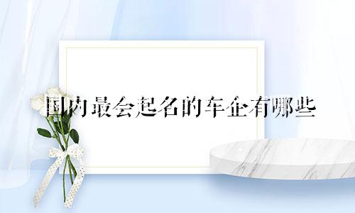 国内最会起名的车企有哪些