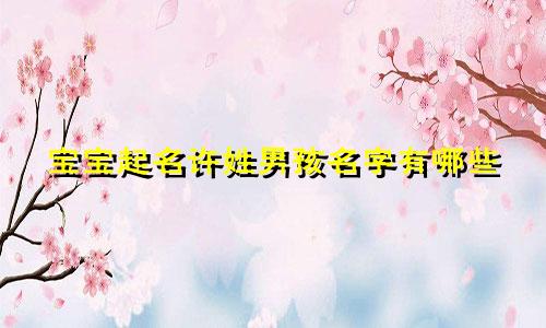 宝宝起名许姓男孩名字有哪些