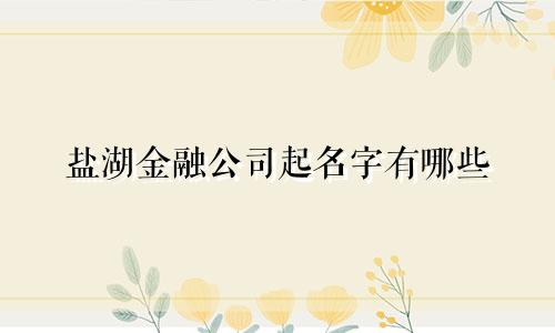 盐湖金融公司起名字有哪些